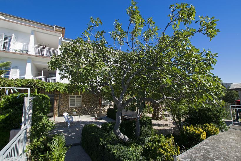 Apartment Duda Starigrad Paklenica Værelse billede